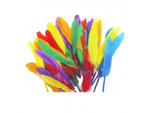 Art Feathers (Mix Colour)