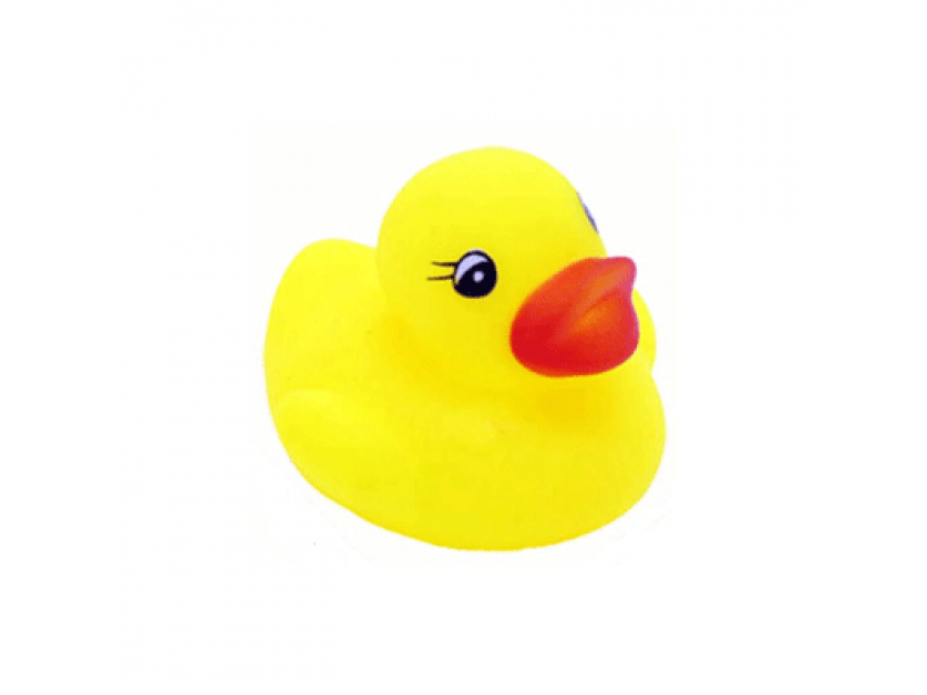 Small Rubber Ducky