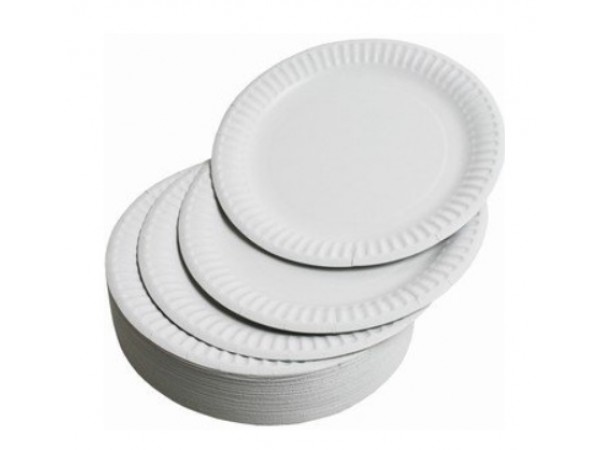 Disposable Paper Plate 9 Inch