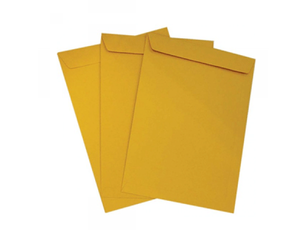 Goldkraft Envelope 9 x 12 3/4 Inch A4 - 250s Per Box